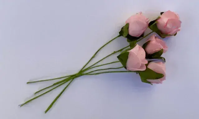 Ružička penová - ružova s tylom